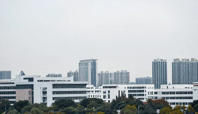 企业决策中技术更新的适用场景与限制分析